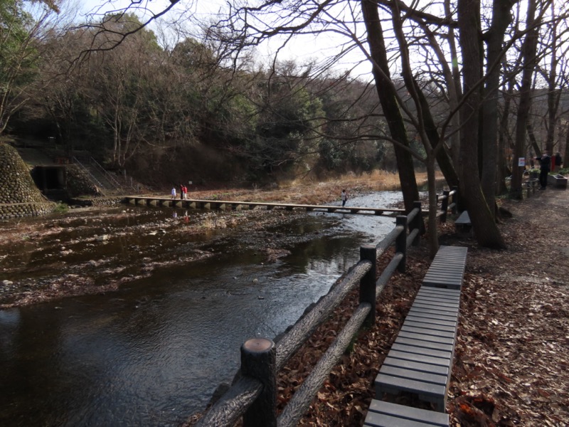 日和田山、物見山